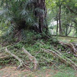 Hike in the Virgin Islands