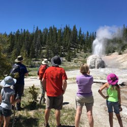 Lone Star Geyser erupts in Yellowstone National Park