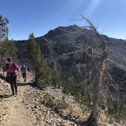 hiking trail in Yellowstone