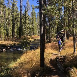 hiking trail in yellowstone