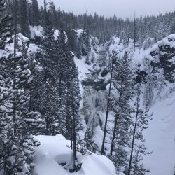Yellowstone in the winter