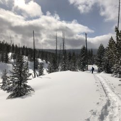 Snowshoe on Mallard Lake Trail Yellowstone National Park