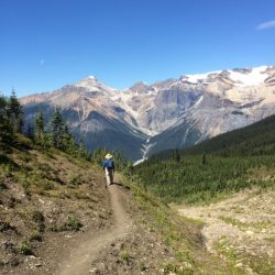 A hiker in British Columbia's Yoho National Park