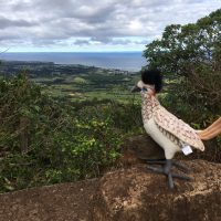 footer-photo-gallery-pic-1