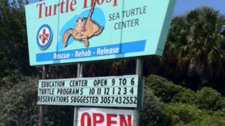 7 Days of Sunny Cycling Bliss