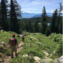 Hikers on a trail in Yellowstone National Park